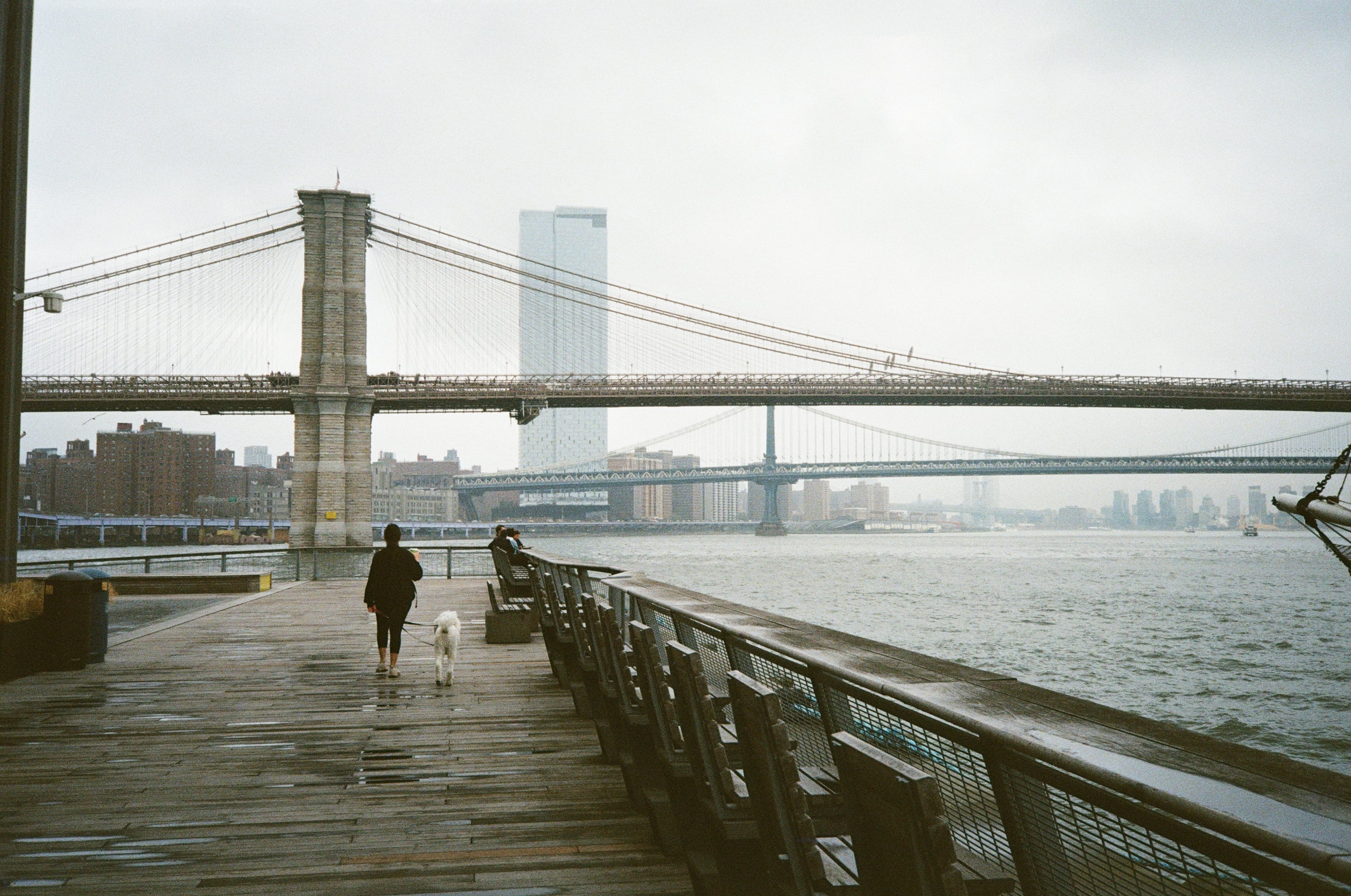 Film photograph — Kodak color negative