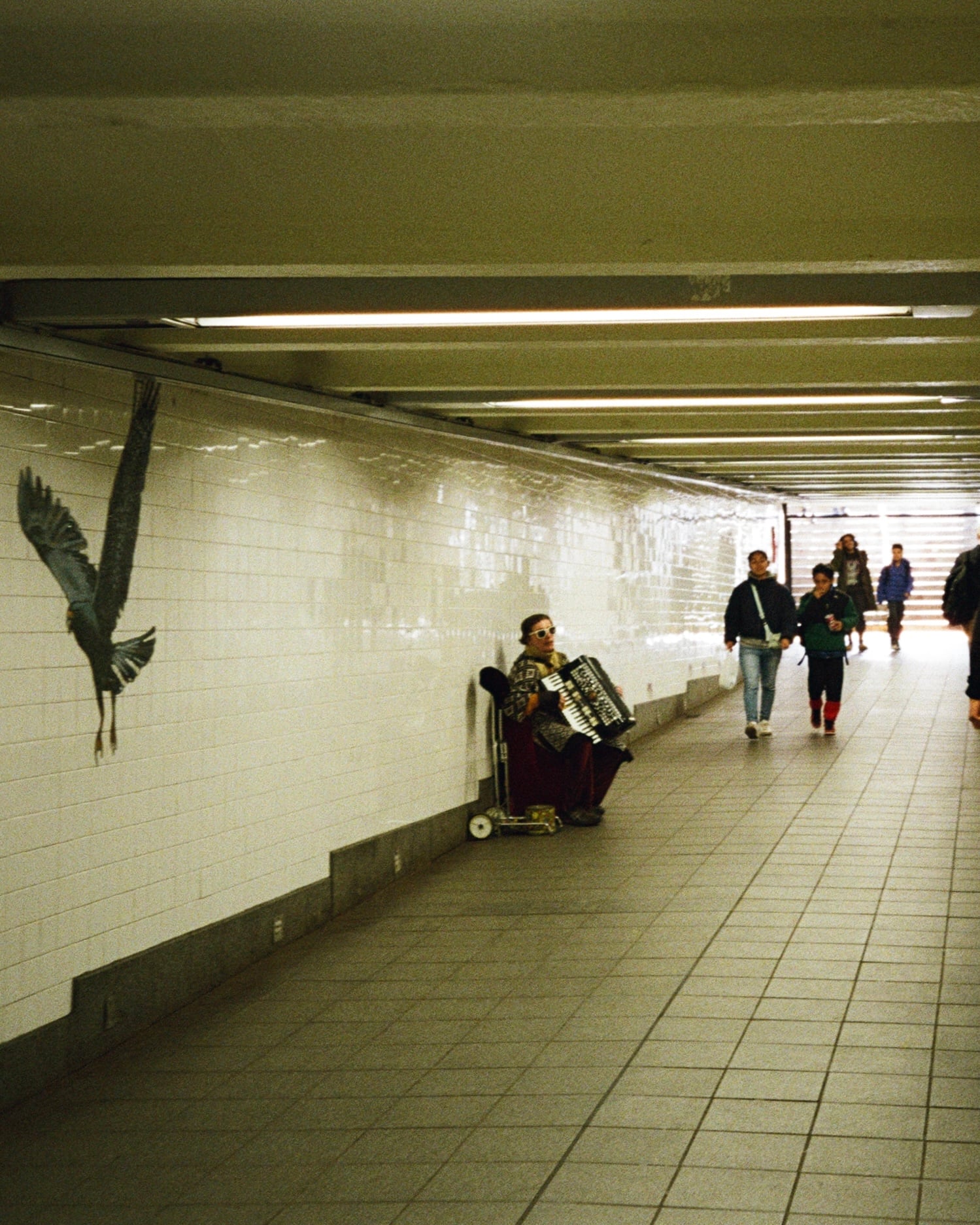 Film photograph — medium format, analog grain