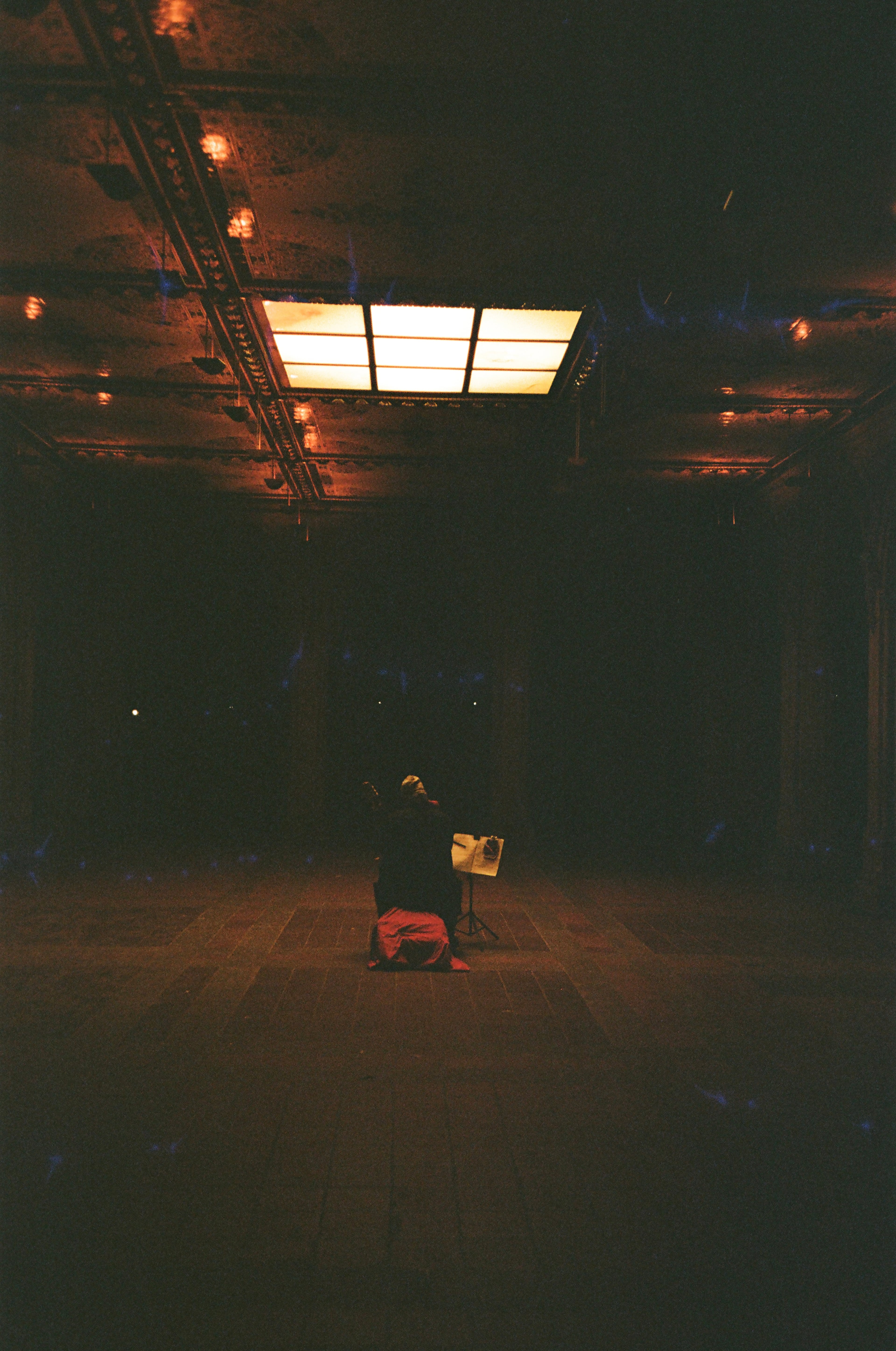 Film photograph — large format vertical, analog