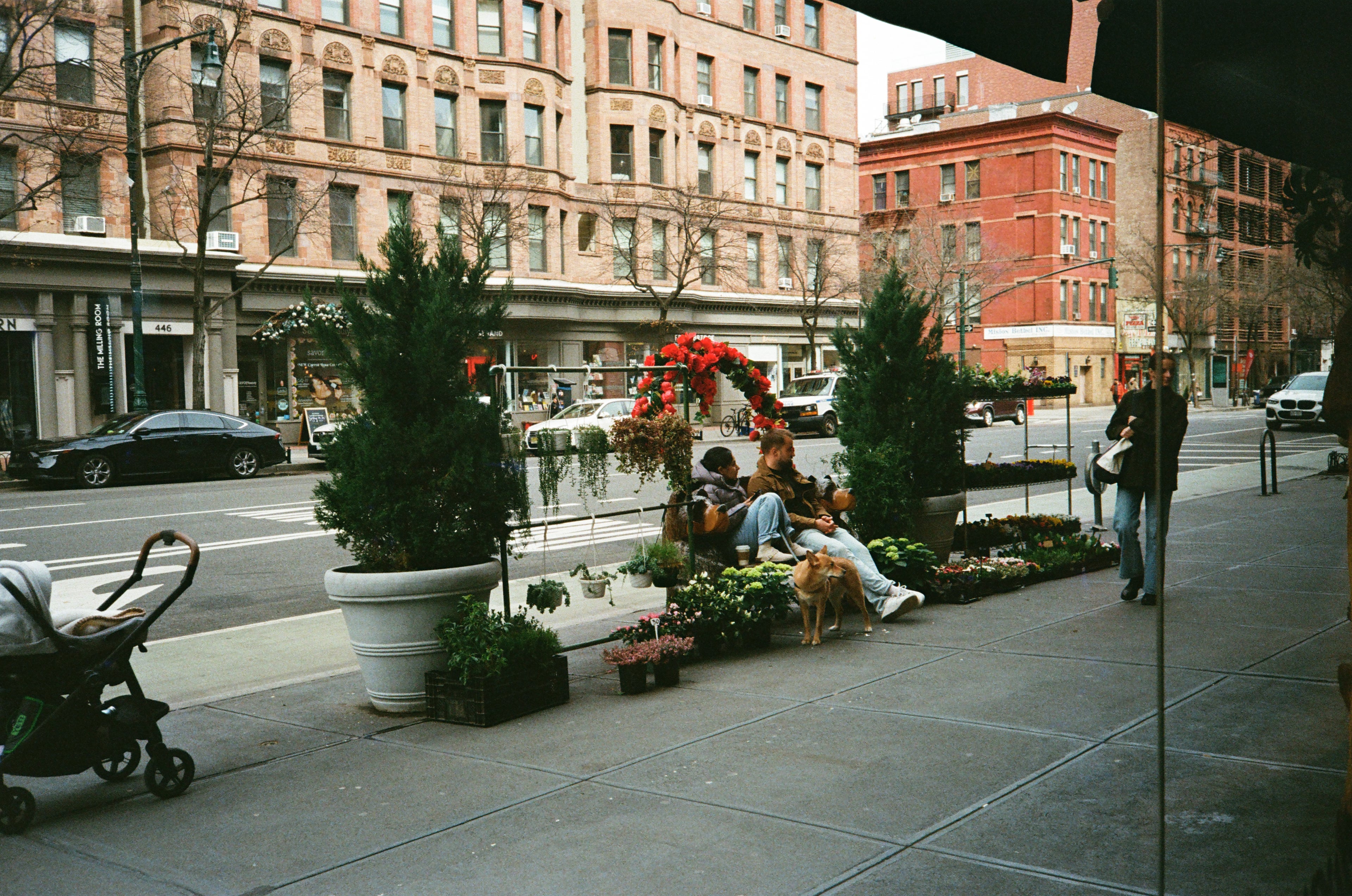 Film photograph — wide horizontal, Kodak emulsion