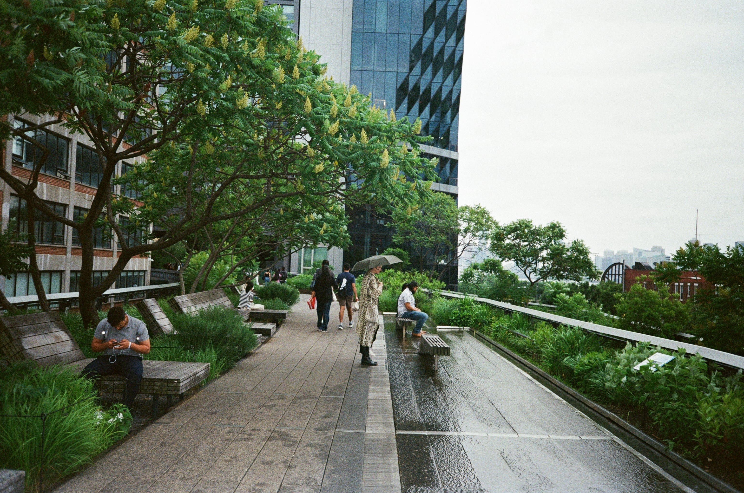 Film photograph — color negative, New York City