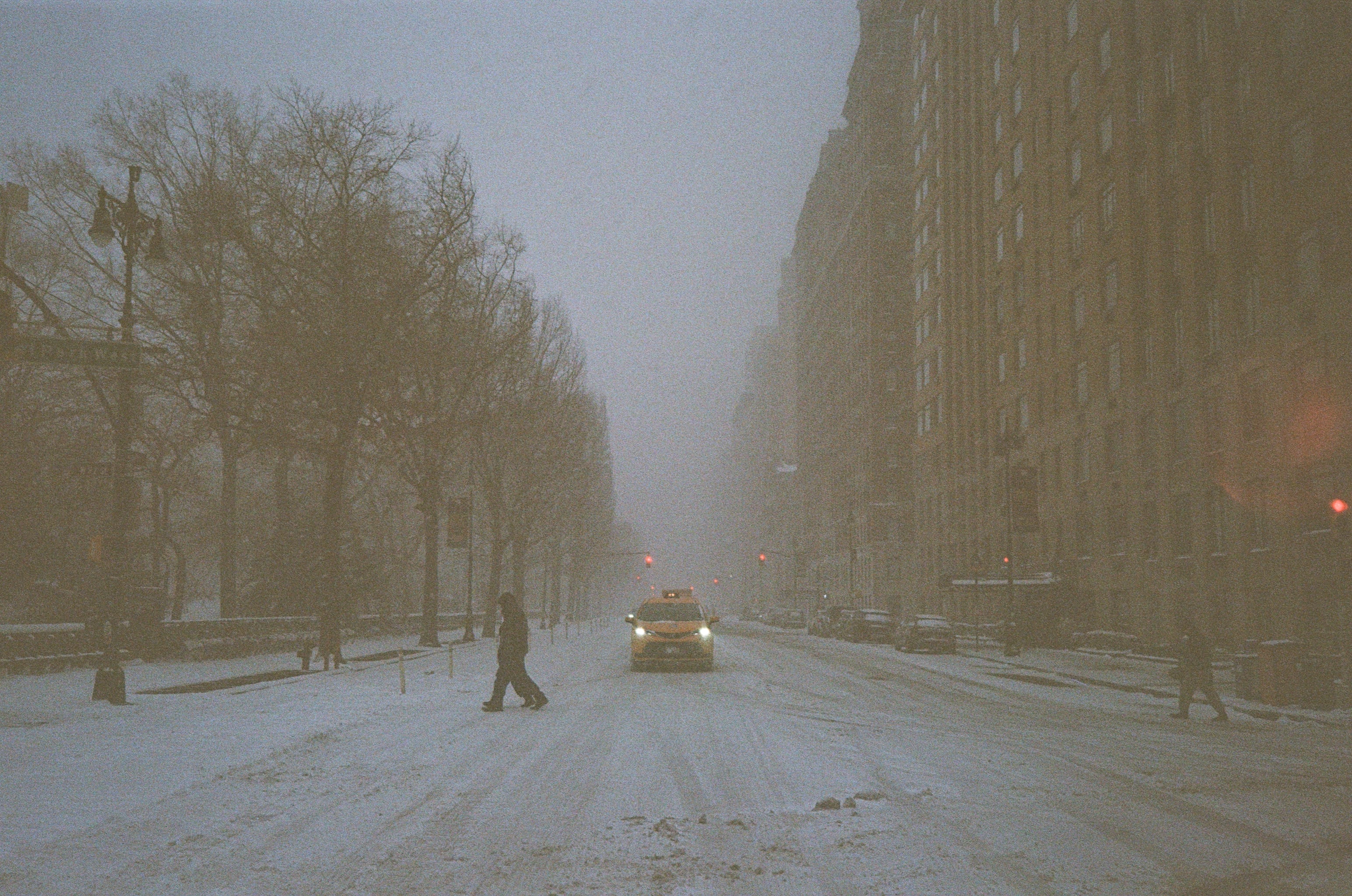 Film photograph — analog, color negative