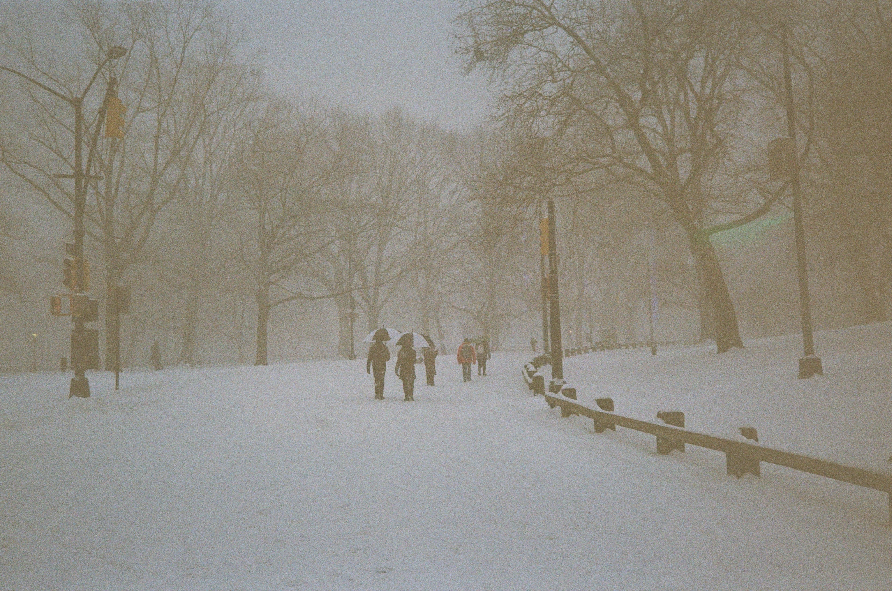 Film photograph — warm tones, analog grain