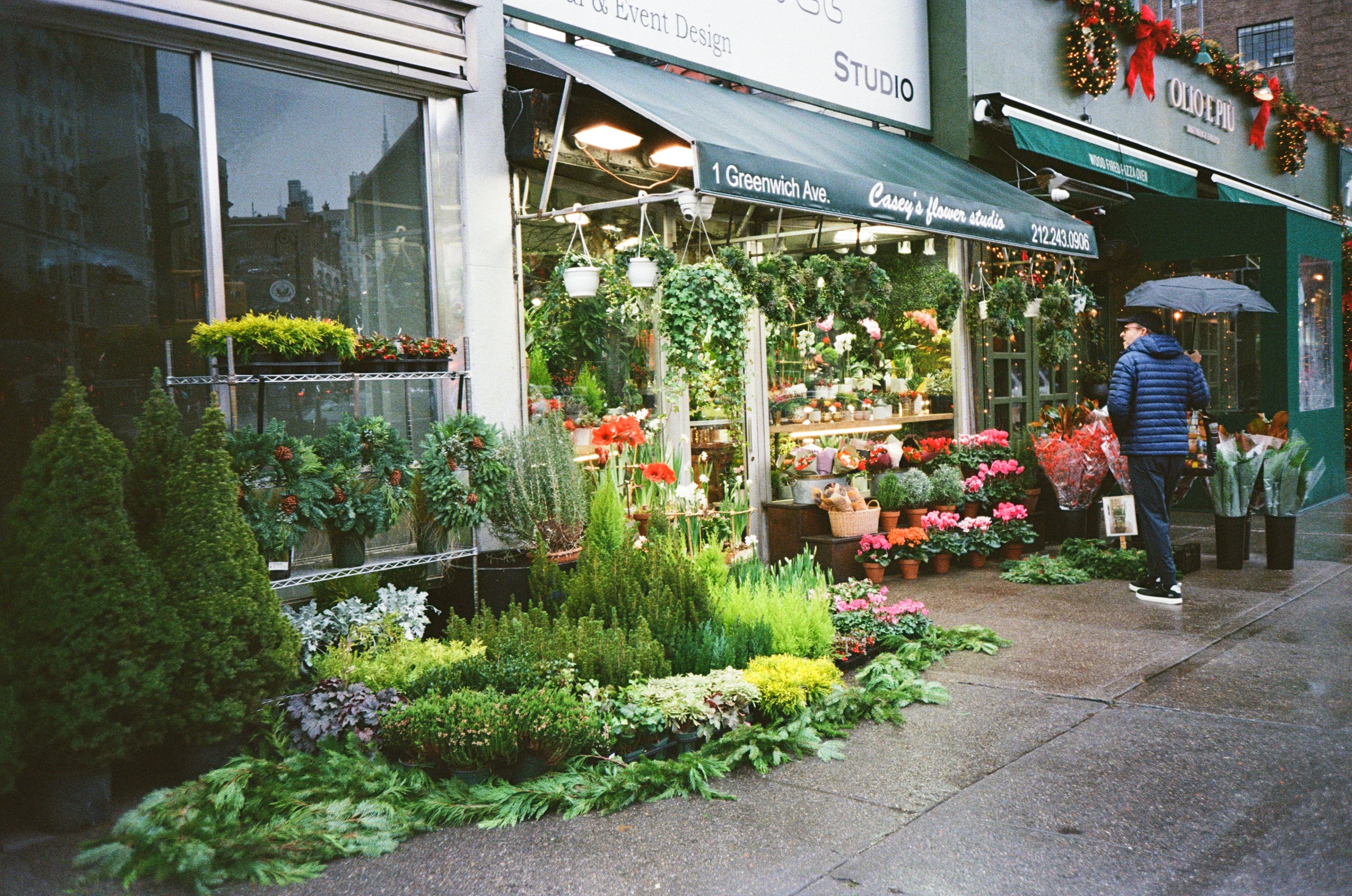 Film photograph — color negative, New York