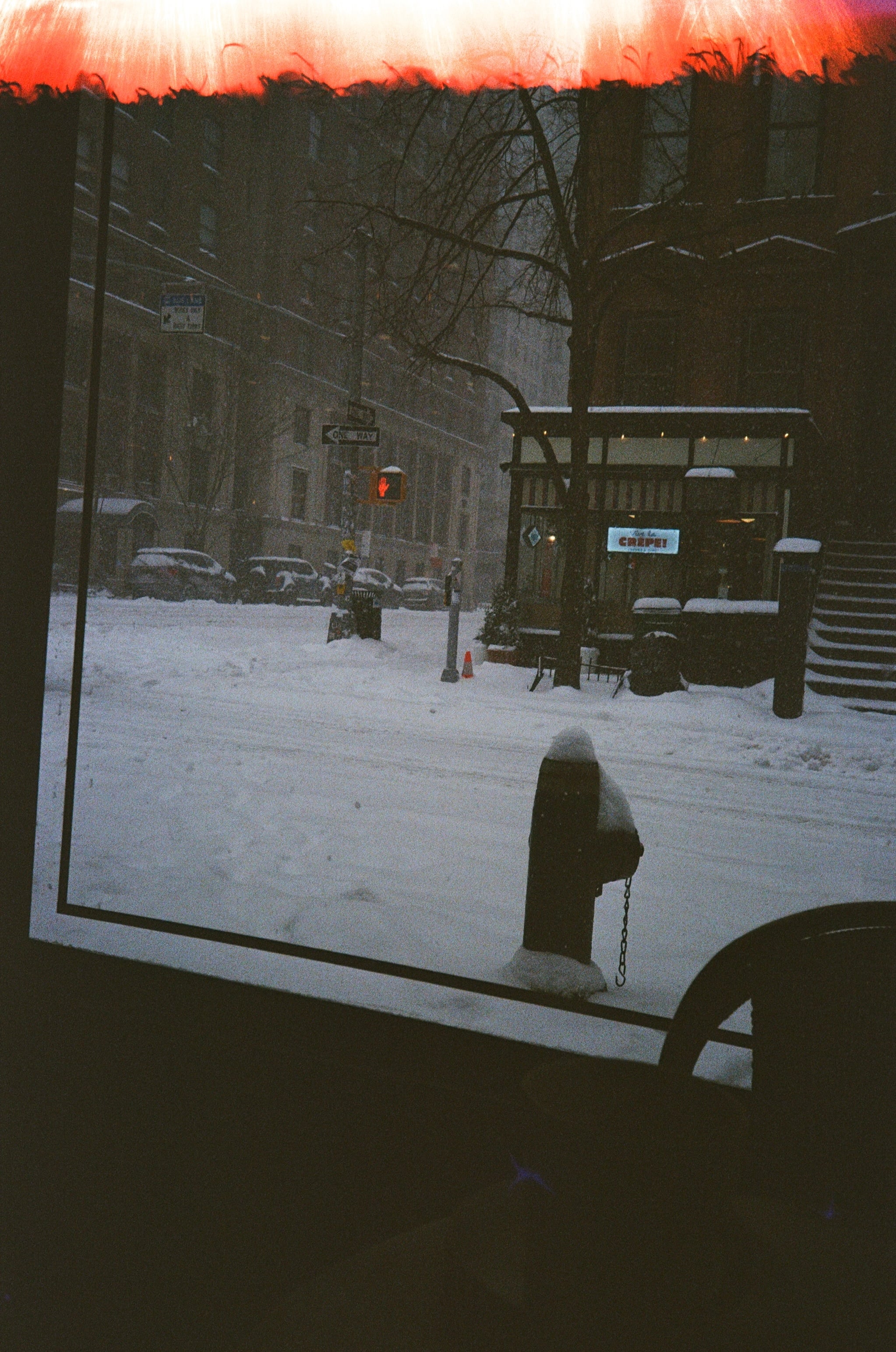 Film photograph — portrait, analog grain