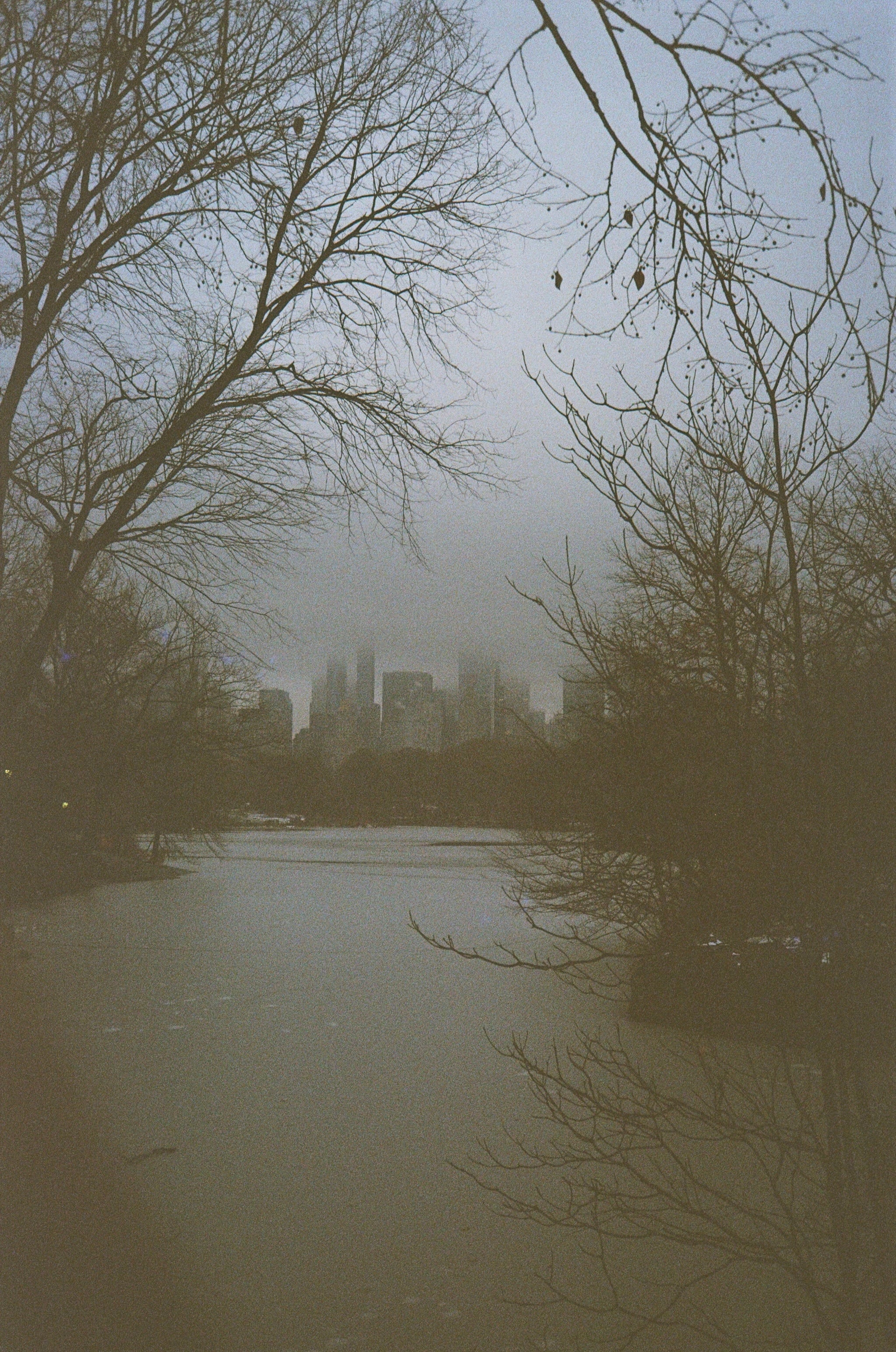 Film photograph — vertical, color negative