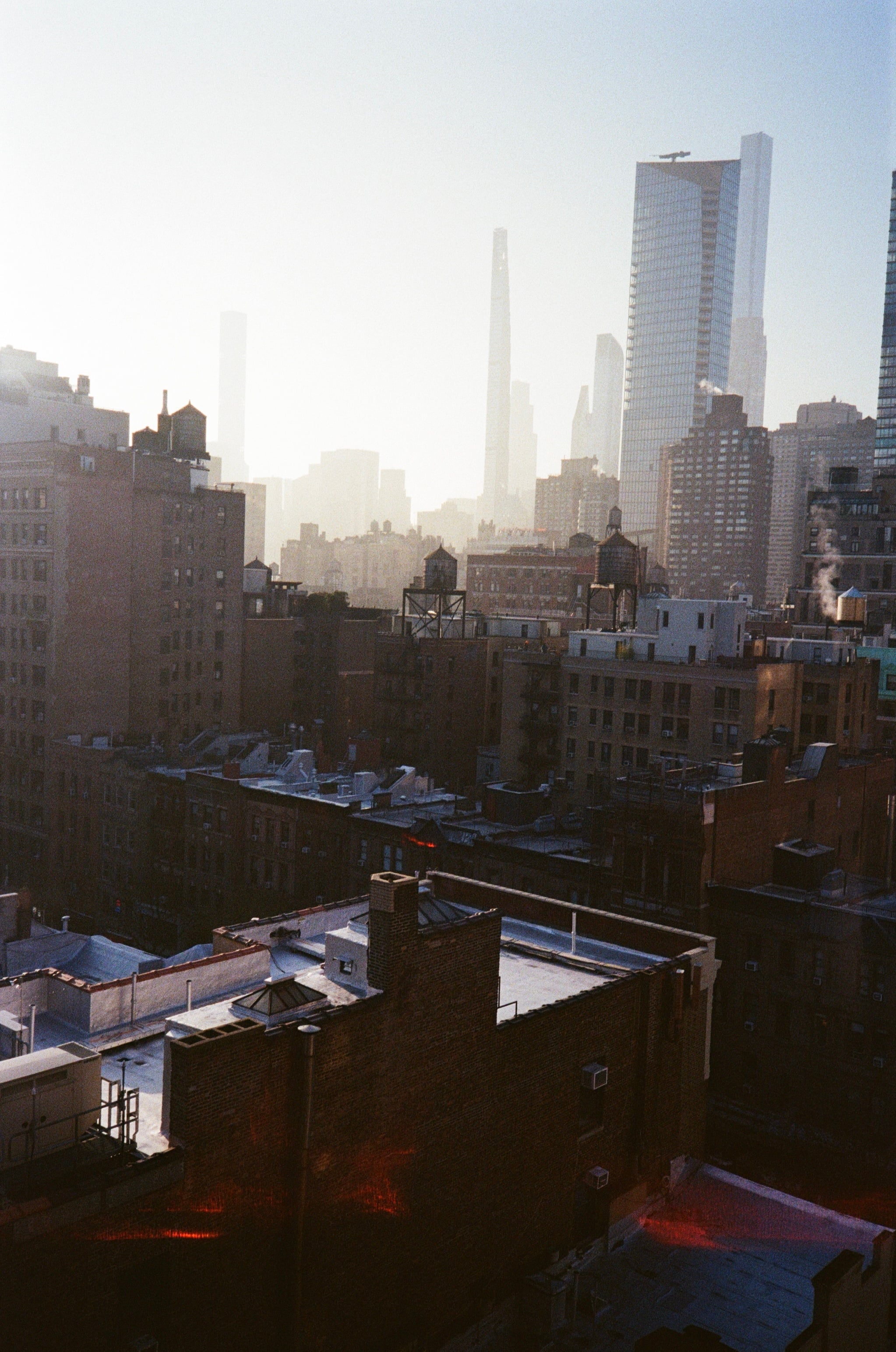 Film photograph — portrait frame, analog