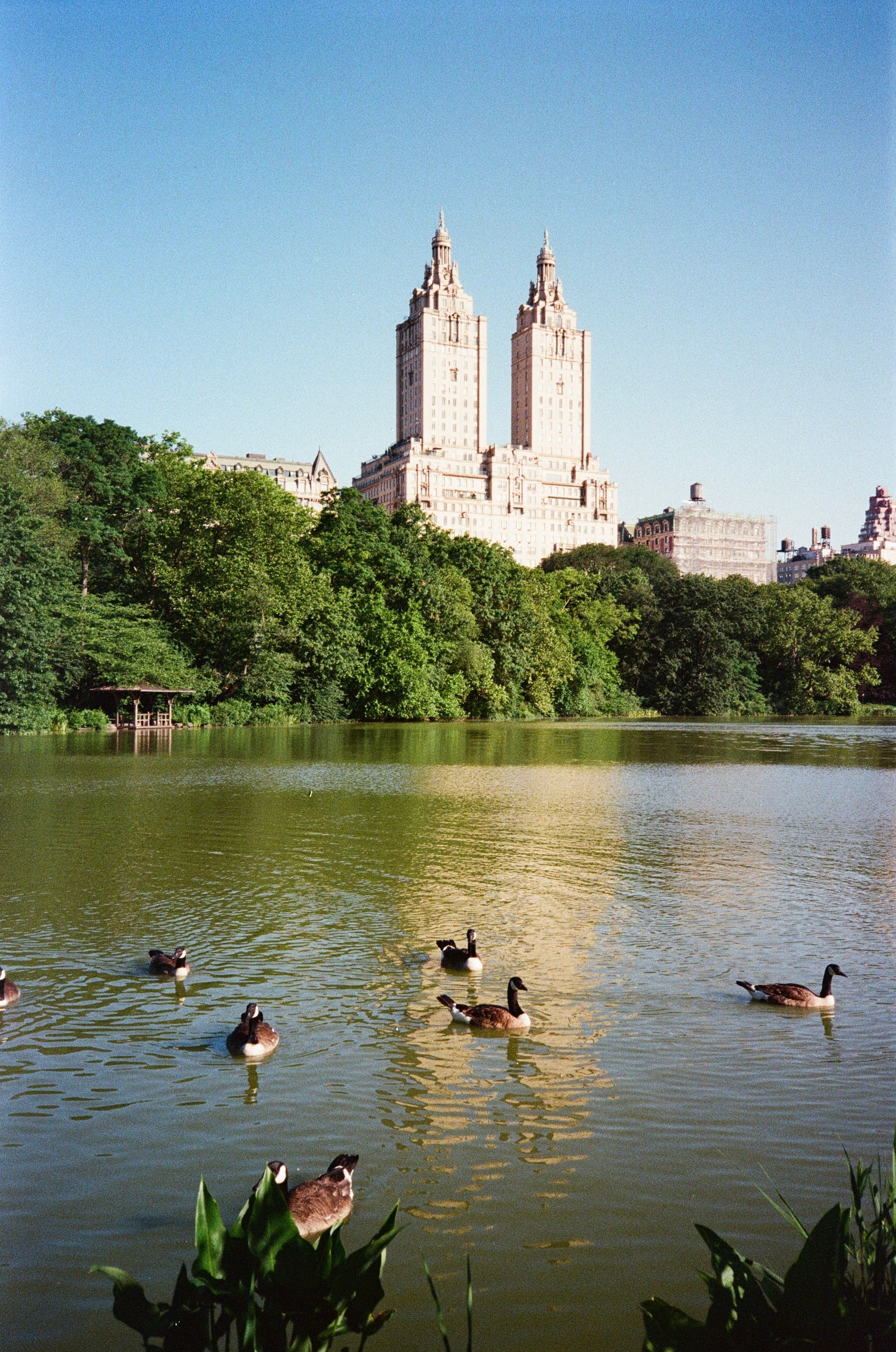 Film photograph — portrait orientation, analog