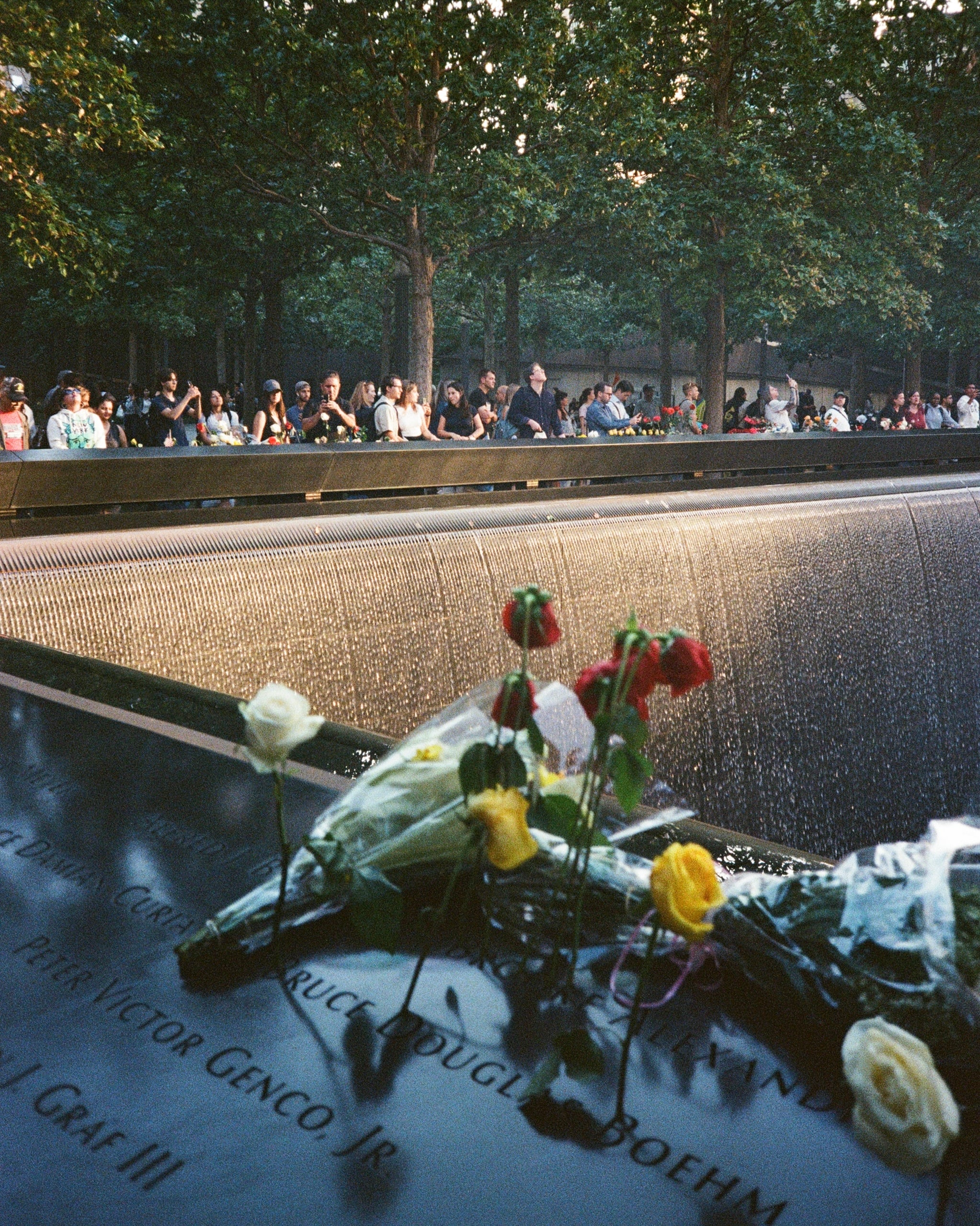 Film photograph — analog square crop