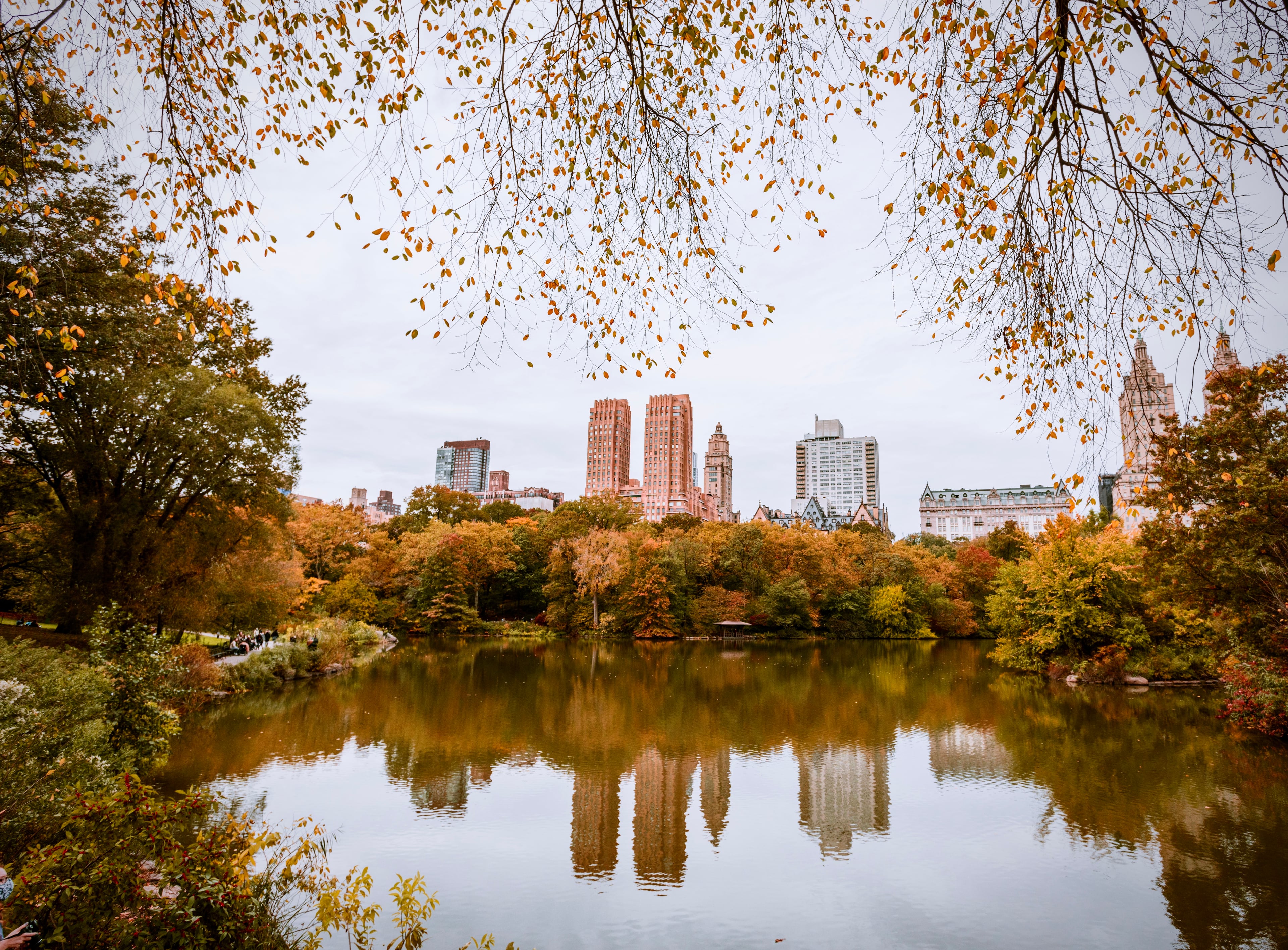 Landscape photograph — natural scenery