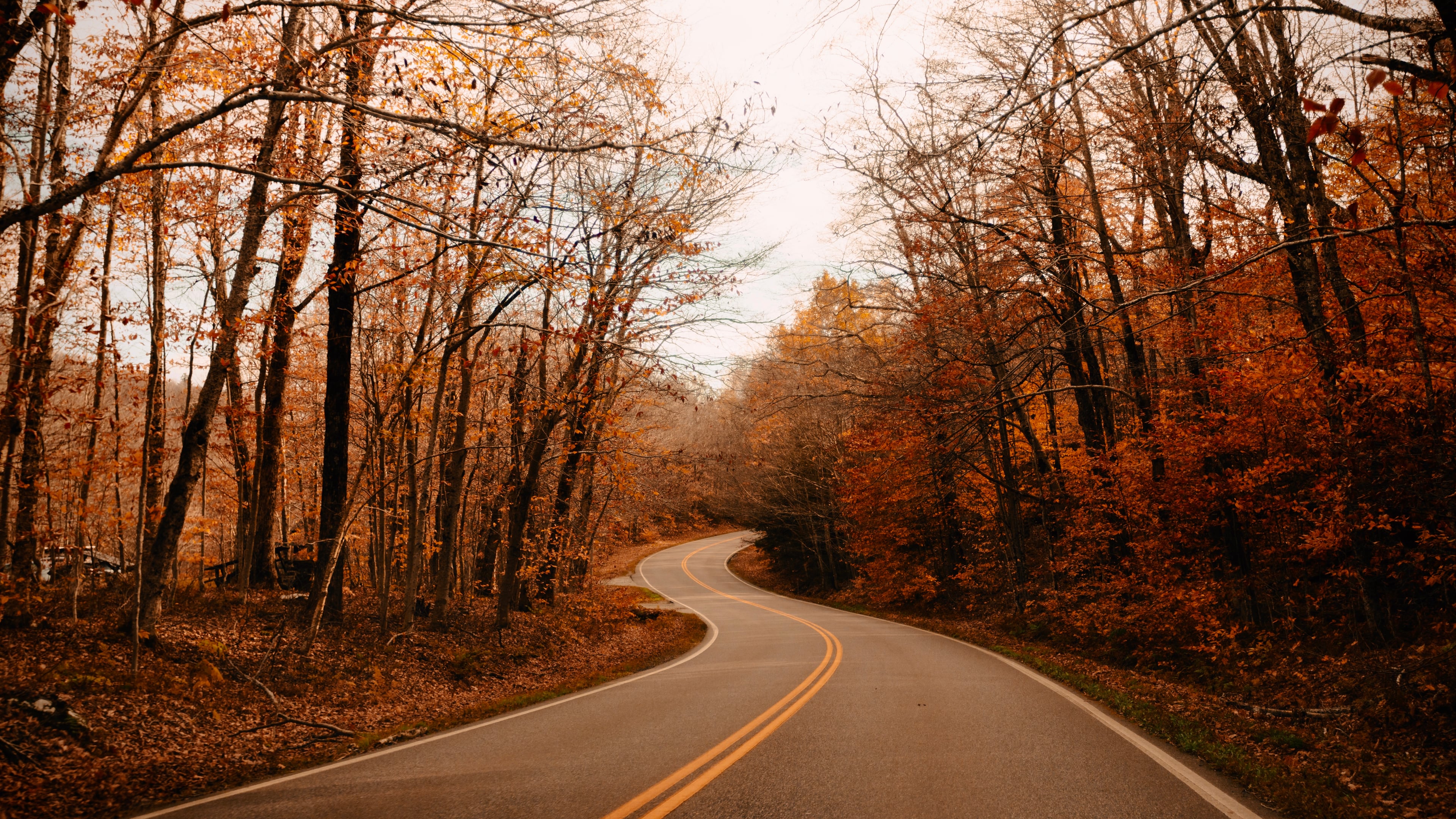 Landscape photograph — wide horizon