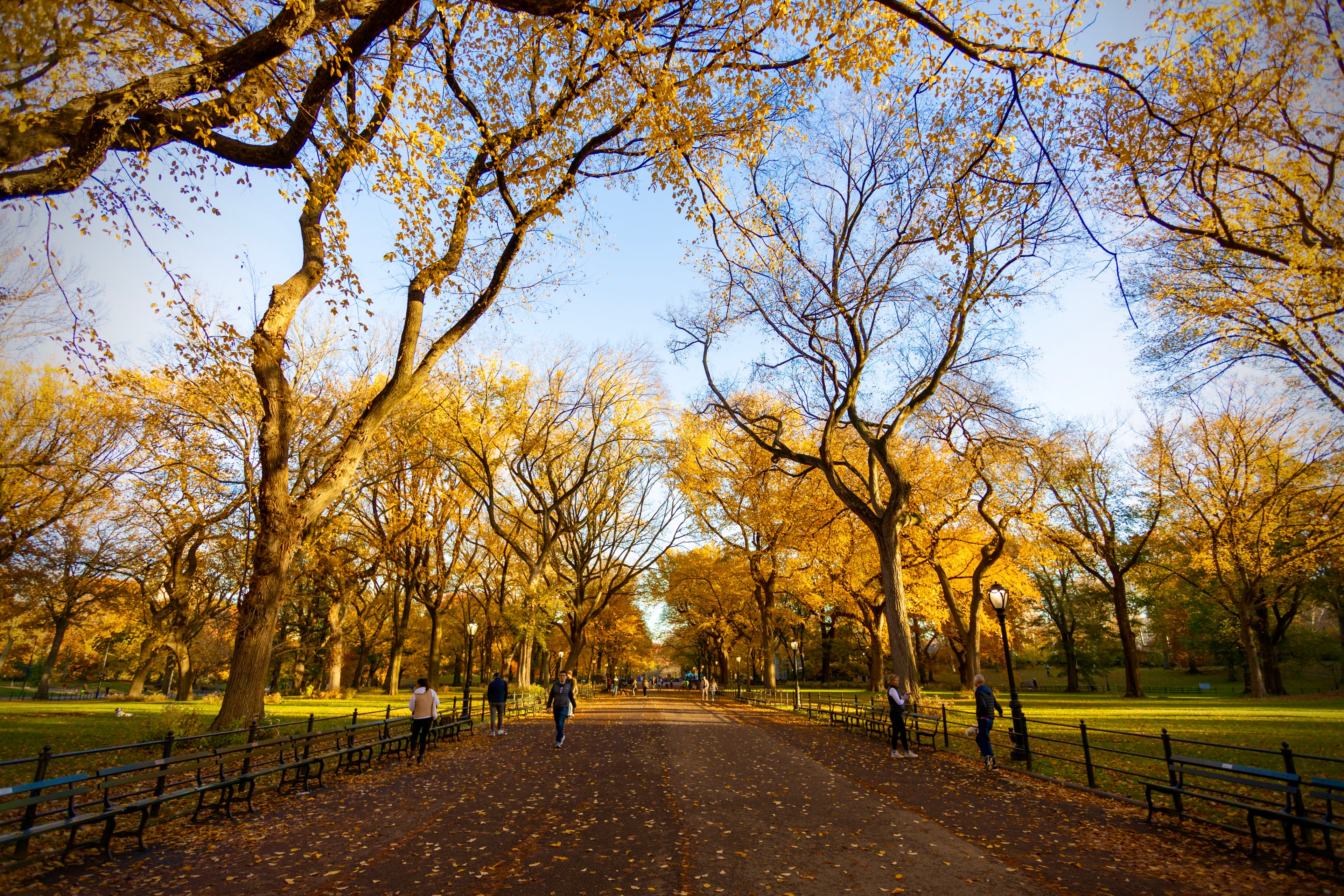 Landscape photograph — natural scenery