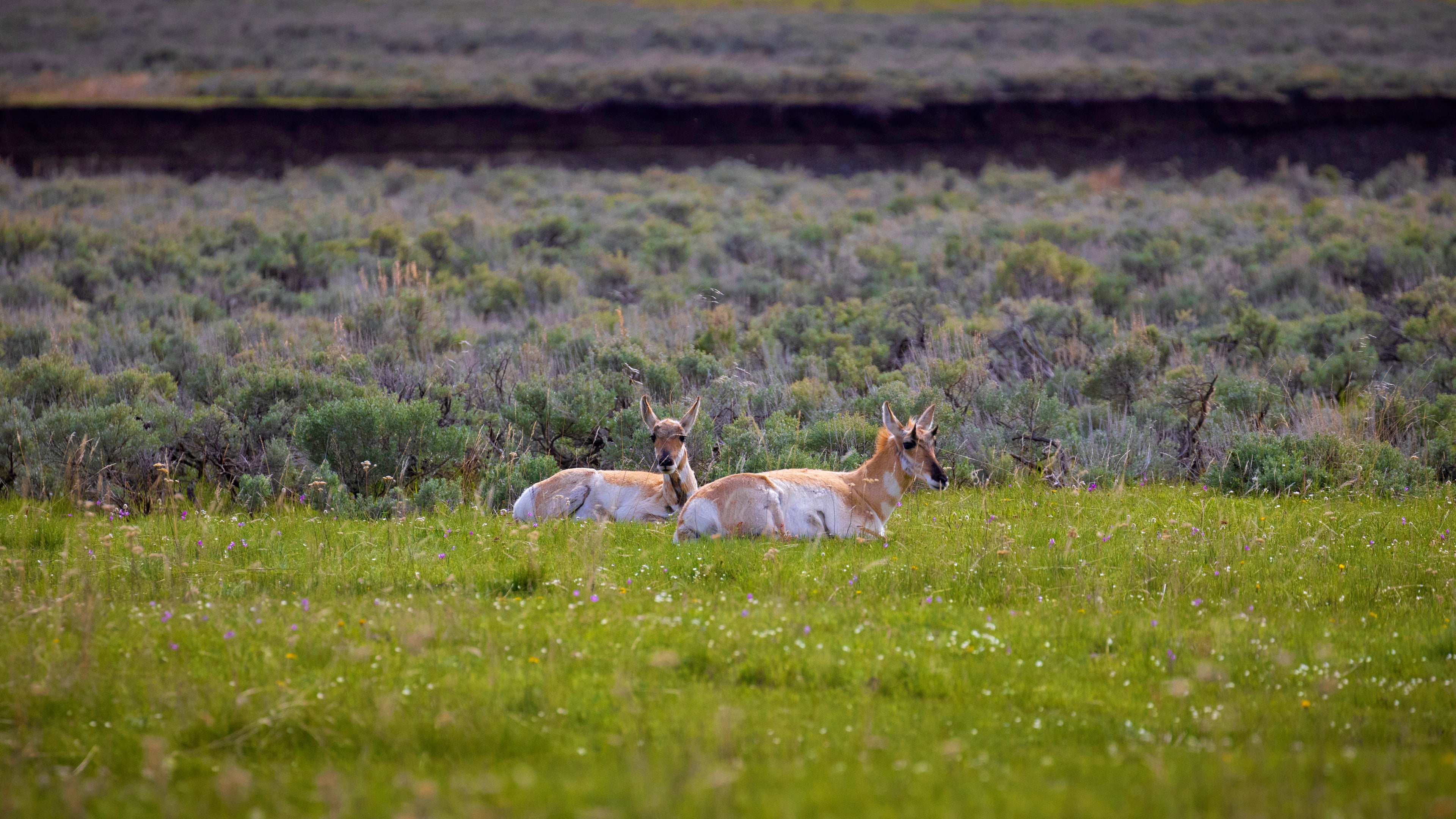 Landscape photograph — natural scene, wide frame