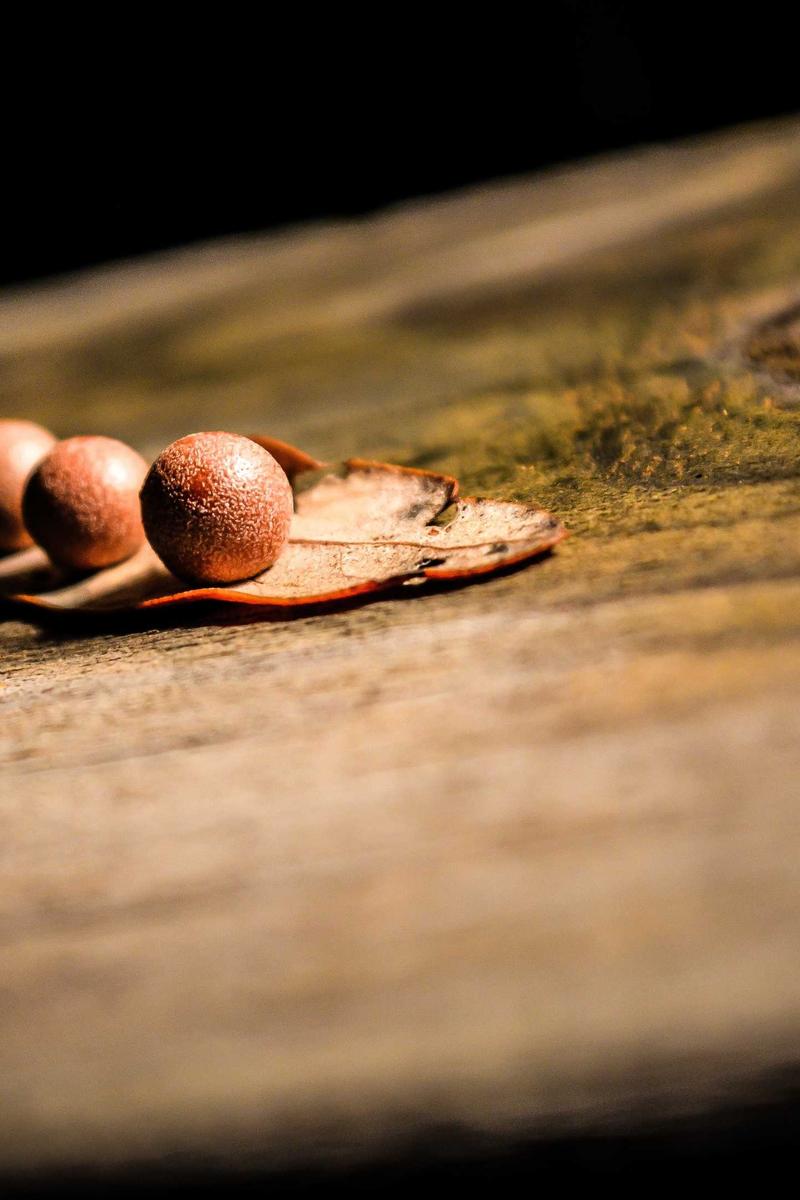 Star trails over lake