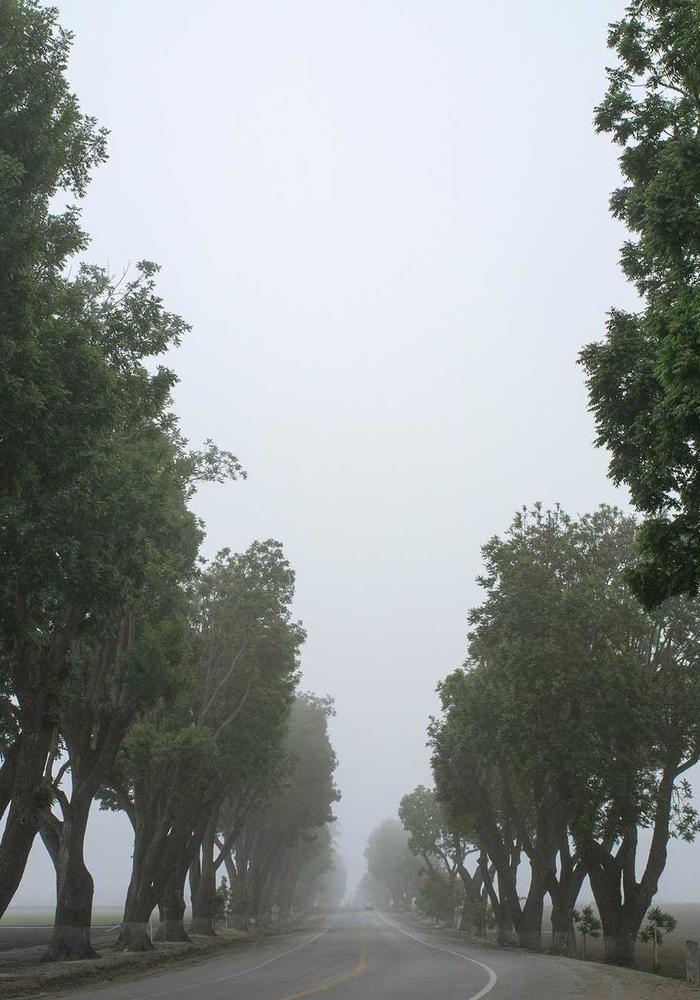 Double exposure on Ilford HP5