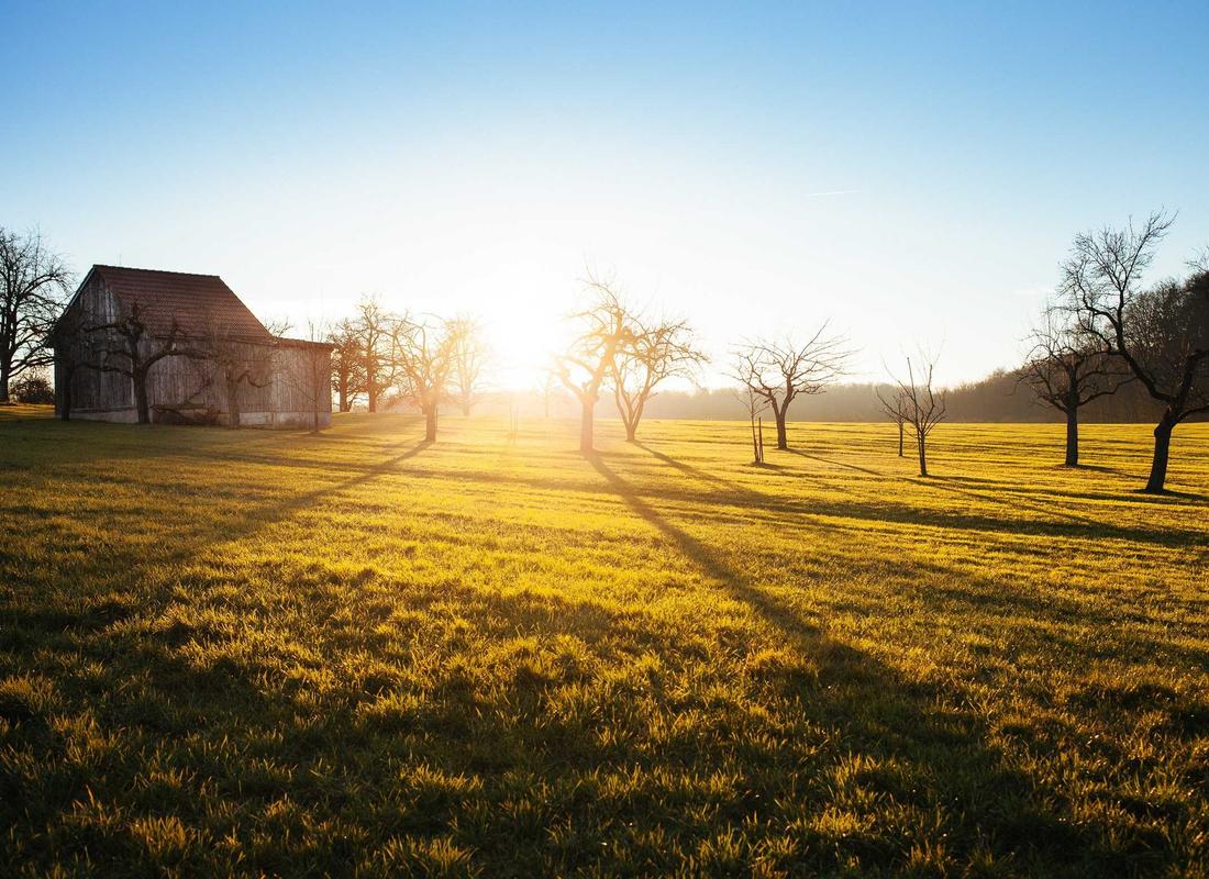 Window light portrait
