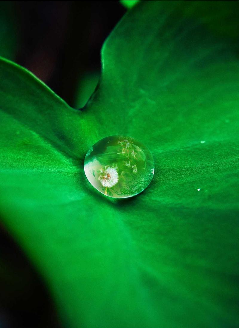 Street corner on Fuji 400H