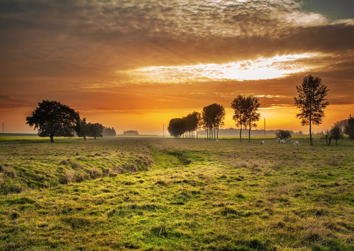 Sunset on slide film