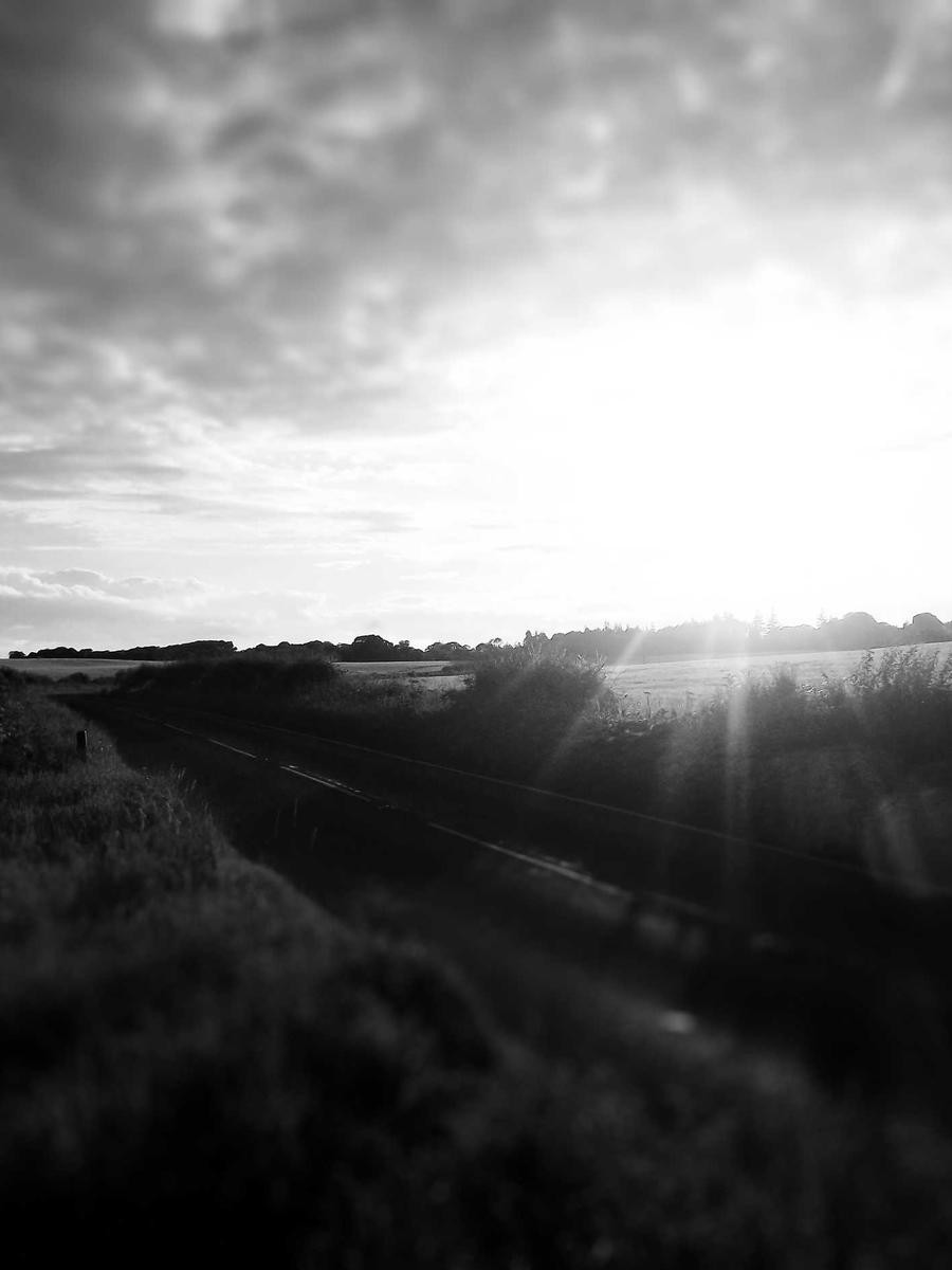 Photographer portrait