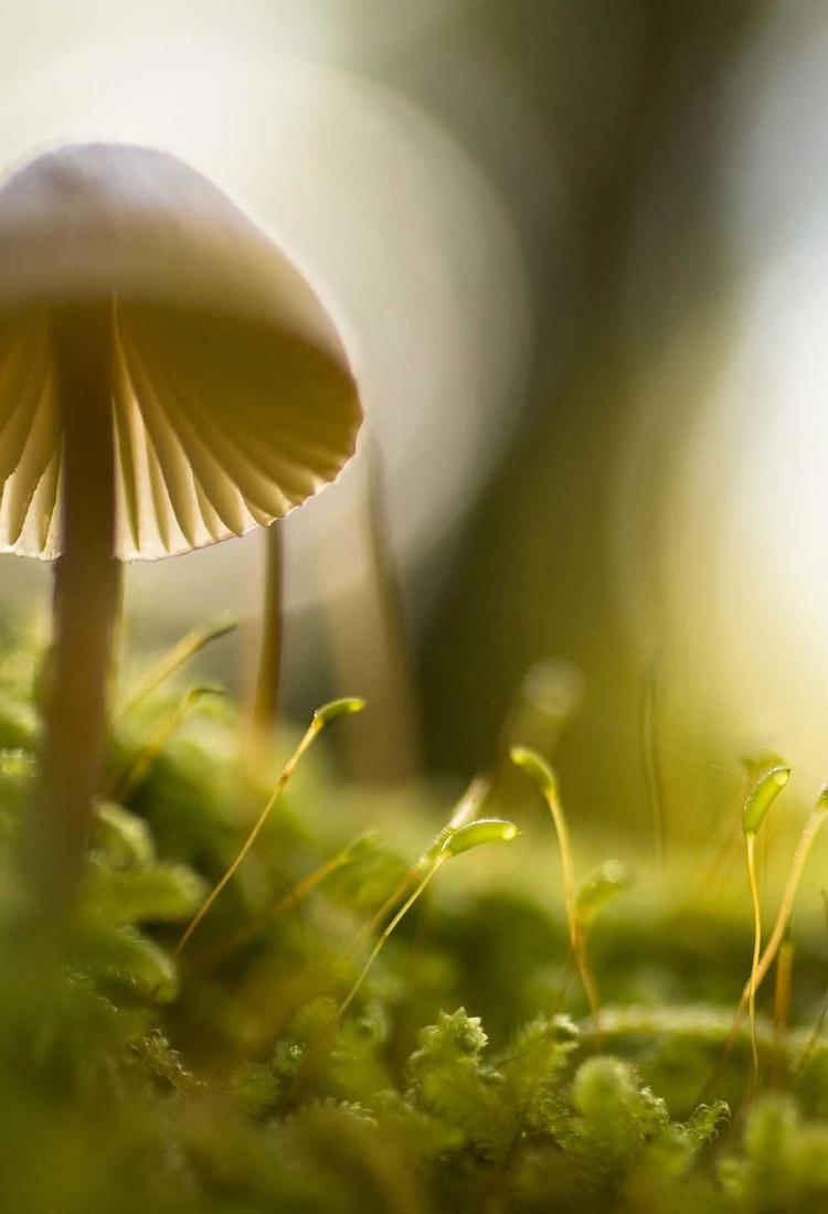 Rain reflections on pavement